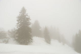 Pine trees on a hill clouded by a snow storm