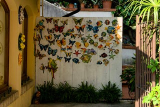 The garden behind the wall.