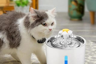 If you’re a pet owner, you know how important it is to keep your furry friends hydrated and…
