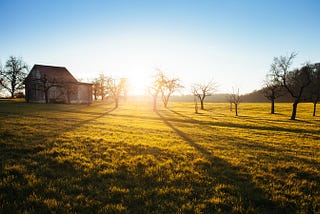 I Finally Cracked the ‘How to Wake Up Early’ Code… If ‘Early’ is 6:00 am