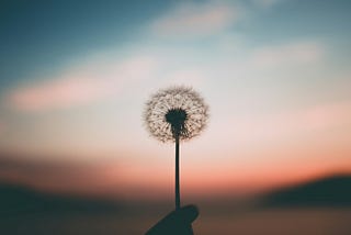 The Disordered World of Wellness