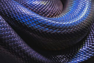 Why ‘uv’ Might Be the Only Python Tool You Need for Scripts