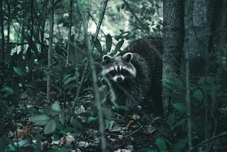 Overcoming the sneaky temptations that sabotage your goals without your noticing