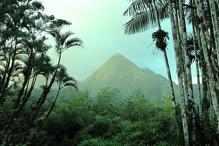 Escaping the SQL Jungle