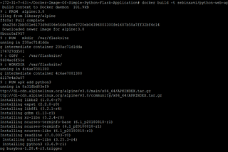 Docker Image with simple Python-Flask Application