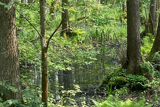 The Scent Landscape of Karosta