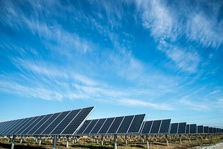 Energy-Efficient Solutions for Vertical Farming: Powering the Future of Urban Agriculture