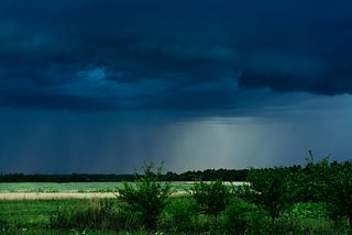 an evening landscape of a dark blue sky and vegetations