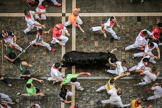 View from above of a bull run