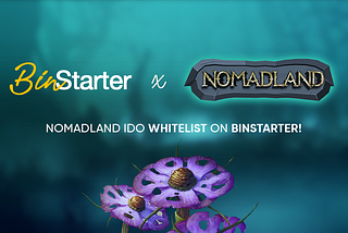Nomadland IDO Whitelist on BinStarter