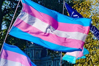 Why do I have to suffer to be a “good trans person”? — The Hofstra Chronicle