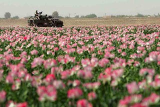 Wasted Abroad : The Story of the Afghan Opium Trade and Advent of 21st century terrorism