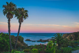 writing, writer, freelance writing, tropical, paradise, sunset, palm trees