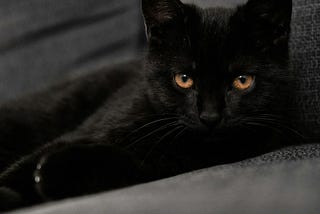 Top 10 Popular Superstitions Around The World