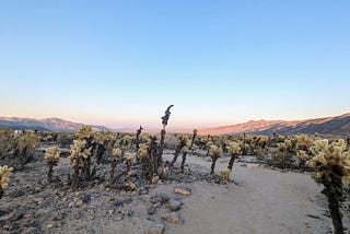 Stubborn Travel: July Newsletter