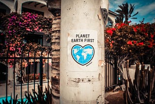 A light post with a poster on it saying Planet Earth First and an image of the world in the shape of a heart.