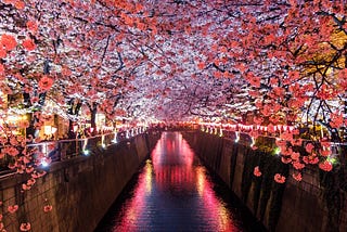 How to Evaluate Your Software Engineering Offer in Japan