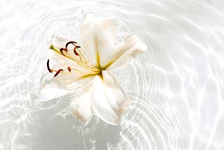 Jasmine Tea