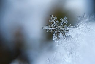 What Are Snowflake IDs?