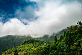 Kurseong…