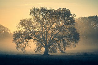 When Life Whispers Notes Into Your Mind (And You Find Them Again After So Many Years)