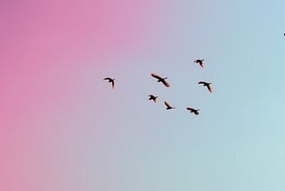 Burung.