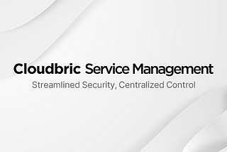 Cloudbric Service Management 시스템 구축 완료