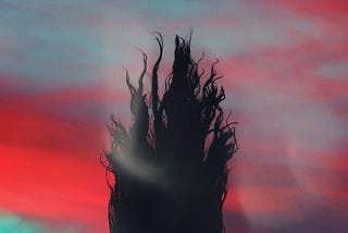 Silhouette of a woman with hair in wind with a bright red and blue sunset as a back drop.