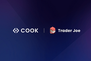 Learn how Trader Joe is integrated into the Cook DeFi Index platform