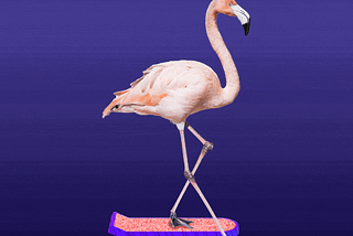 Flamingo DAO: An NFT Collective