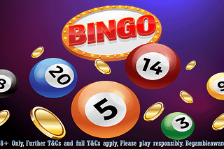 Top 10 Tips To Rise Online Bingo Payouts