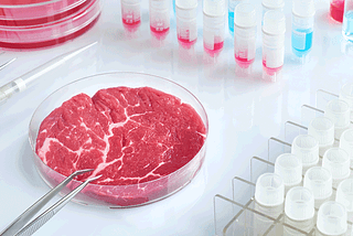 A Dive into How Lab-grown Meat is Made