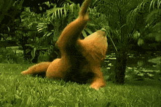 One-armed sloth learns to clap