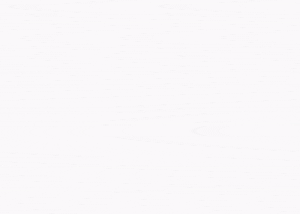 Flutter Book App part 4: From demo to real app.