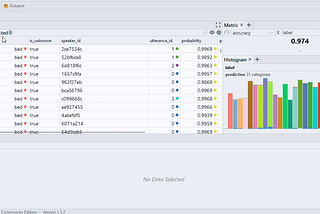 Find Issues in Huggingface Datasets and Explore Them Interactively