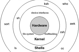 What happens where you type ls -l in a Linux Shell