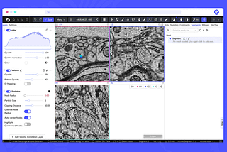 AI Quick-Select Tool