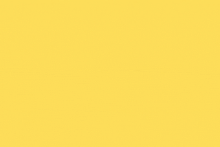 “Javascript” as a Newbie view