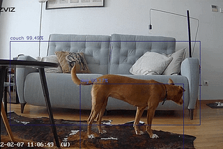 “Pet-On-Sofa” Detector