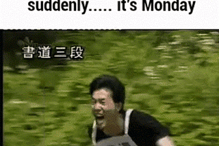25 most funniest gifs shared on social media