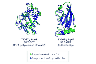 Unfolding AlphaFold and What it Means for Biology