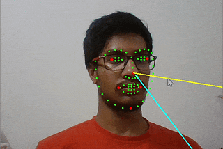 Real-Time Head Pose Estimation in Python