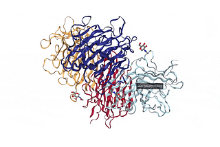 Visualizing and Analyzing Proteins in Python