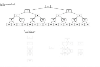 Merkle Membership Proofs