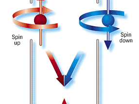 Quantum Darwinism to Artificial Neural Network