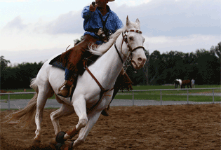CMSA Clothing and Horse Requirements