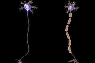 Miracle Myelin