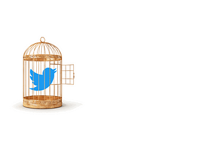Let the caged bird fly? — Elon wants to open Twitter’s algorithm, here’s why it’s a bad idea