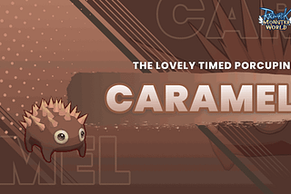 Introducing Caramel: The Lovely Timed Porcupine