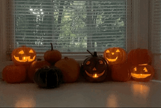 Eleven real and fake pumpkins and one kombucha are arranged in a bay window. Three styrofoam and one tin pumpkins are carved and lit as jack o’lanterns, the lights reflecting off the seat. It’s still twilight out the window, trees and a green lane are all that can be seen.